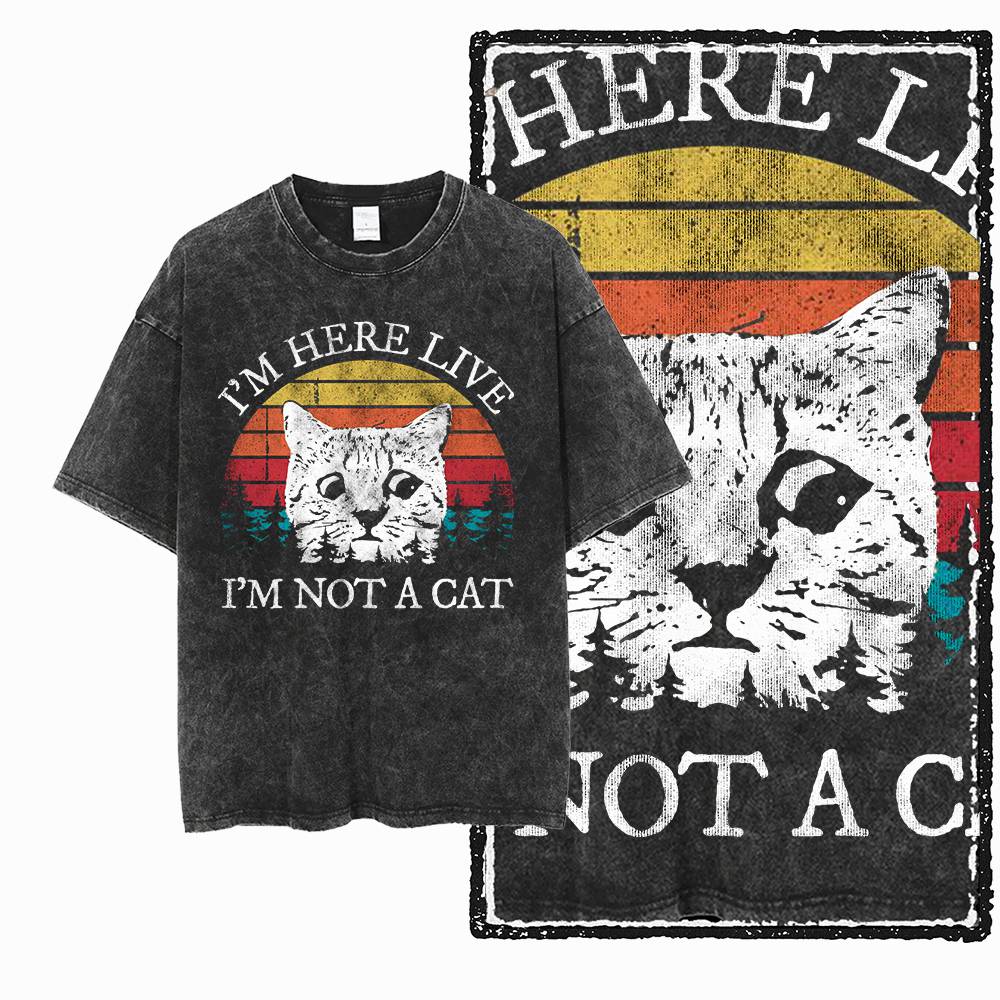 T-shirt pour hommes, en coton  - Acid Wash Vintage Graphic T Shirt avis et prix